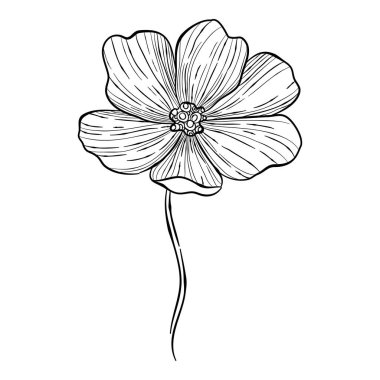 Çiçek açan kalça çiçeği ikonu, el çizimi tarzı.