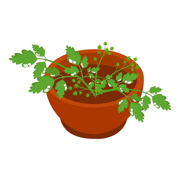 Bowl of parsley spices icon, isometric style — Stock Vector