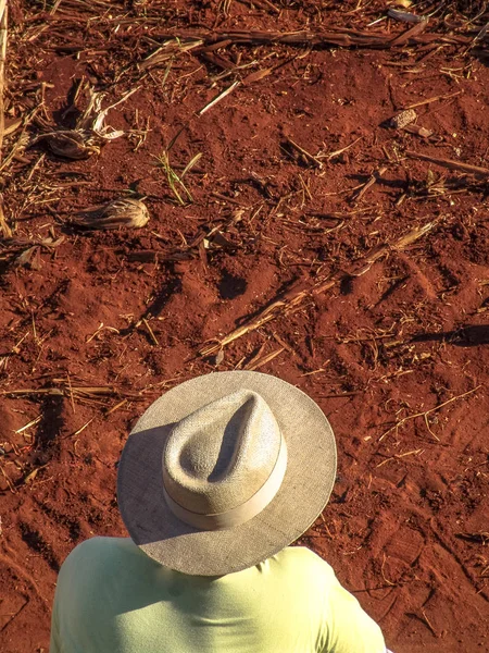 Agricultor com chapéu observa um campo de terra onde uma lavoura de cana-de-açúcar será plantada em uma fazenda em Ribeirão Preto, São Paulo — Fotografia de Stock