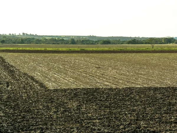 Campo de cultivo de café en Araxa, Brasil — Foto de Stock