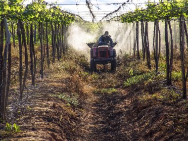 Petrolina, Pernambuco, Brezilya, 14 Temmuz 2006. Çiftçi onun traktör sürücüleri ve tarım ilaçları onun sulu üzüm plantasyon San Francisco Nehri vadisinde Petrolina, Pernambuco devlet, kuzeydoğu Brezilya için geçerlidir