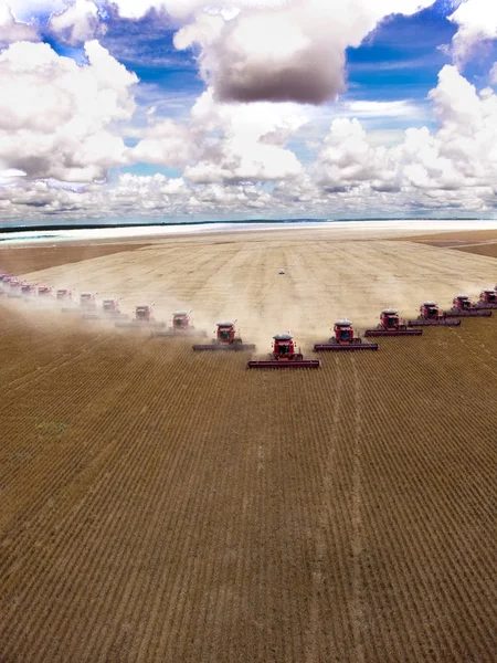 Récolte massive de soja dans une ferme à Campo Verde — Photo