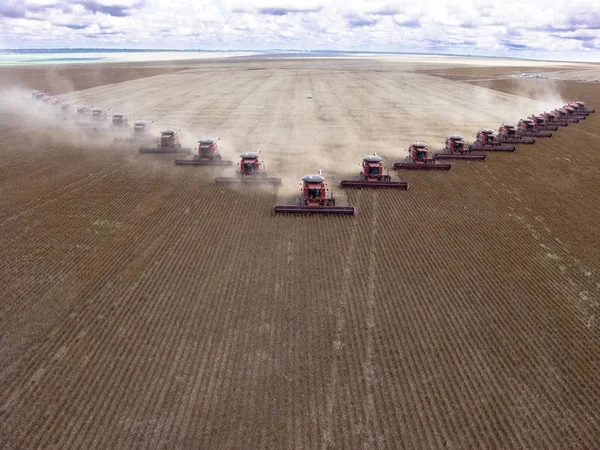 Mato Grosso Brazil March 2008 Mass Soybean Harvesting Farm Campo — Stock Photo, Image