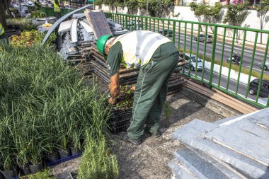 Sao Paulo, Sp, Brezilya, 08 Nisan 2017. İşçiler dikey Bahçe 23 de Maio Avenue, güneyde Sao Paulo yüklemiş olursunuz. Bitkiler Eduardo Kobra, bu yönetimi Başkan Joao Doria silindi, Sao Paulo Antiga grafit değiştirin. ,