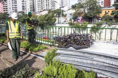 Sao Paulo, Sp, Brezilya, 08 Nisan 2017. İşçiler dikey Bahçe 23 de Maio Avenue, güneyde Sao Paulo yüklemiş olursunuz. Bitkiler Eduardo Kobra, bu yönetimi Başkan Joao Doria silindi, Sao Paulo Antiga grafit değiştirin. ,