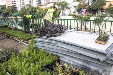 Sao Paulo, Sp, Brezilya, 08 Nisan 2017. İşçiler dikey Bahçe 23 de Maio Avenue, güneyde Sao Paulo yüklemiş olursunuz. Bitkiler Eduardo Kobra, bu yönetimi Başkan Joao Doria silindi, Sao Paulo Antiga grafit değiştirin. ,