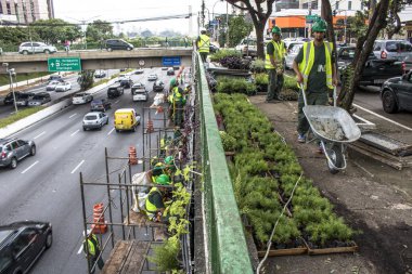 Sao Paulo, Sp, Brezilya, 08 Nisan 2017. İşçiler dikey Bahçe 23 de Maio Avenue, güneyde Sao Paulo yüklemiş olursunuz. Bitkiler Eduardo Kobra, bu yönetimi Başkan Joao Doria silindi, Sao Paulo Antiga grafit değiştirin. ,