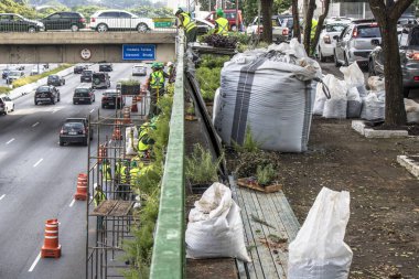 Sao Paulo, Sp, Brezilya, 08 Nisan 2017. İşçiler dikey Bahçe 23 de Maio Avenue, güneyde Sao Paulo yüklemiş olursunuz. Bitkiler Eduardo Kobra, bu yönetimi Başkan Joao Doria silindi, Sao Paulo Antiga grafit değiştirin. ,