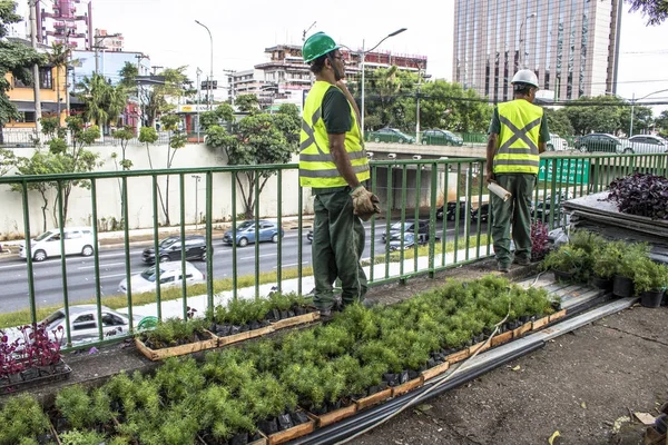 Sao Paulo, Sp, Brezilya, 08 Nisan 2017. İşçiler dikey Bahçe 23 de Maio Avenue, güneyde Sao Paulo yüklemiş olursunuz. Bitkiler Eduardo Kobra, bu yönetimi Başkan Joao Doria silindi, Sao Paulo Antiga grafit değiştirin. ,
