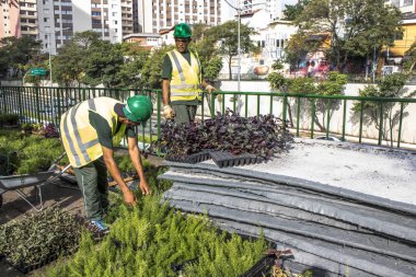 Sao Paulo, Sp, Brezilya, 08 Nisan 2017. İşçiler dikey Bahçe 23 de Maio Avenue, güneyde Sao Paulo yüklemiş olursunuz. Bitkiler Eduardo Kobra, bu yönetimi Başkan Joao Doria silindi, Sao Paulo Antiga grafit değiştirin. ,