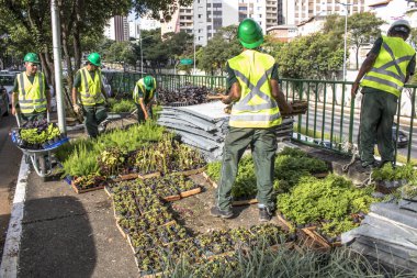 Sao Paulo, Sp, Brezilya, 08 Nisan 2017. İşçiler dikey Bahçe 23 de Maio Avenue, güneyde Sao Paulo yüklemiş olursunuz. Bitkiler Eduardo Kobra, bu yönetimi Başkan Joao Doria silindi, Sao Paulo Antiga grafit değiştirin. ,