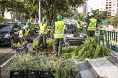 Sao Paulo, Sp, Brezilya, 08 Nisan 2017. İşçiler dikey Bahçe 23 de Maio Avenue, güneyde Sao Paulo yüklemiş olursunuz. Bitkiler Eduardo Kobra, bu yönetimi Başkan Joao Doria silindi, Sao Paulo Antiga grafit değiştirin. ,