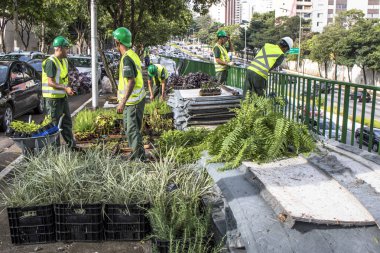 Sao Paulo, Sp, Brezilya, 08 Nisan 2017. İşçiler dikey Bahçe 23 de Maio Avenue, güneyde Sao Paulo yüklemiş olursunuz. Bitkiler Eduardo Kobra, bu yönetimi Başkan Joao Doria silindi, Sao Paulo Antiga grafit değiştirin. ,