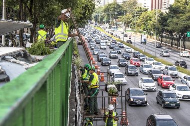 Sao Paulo, Sp, Brezilya, 08 Nisan 2017. İşçiler dikey Bahçe 23 de Maio Avenue, güneyde Sao Paulo yüklemiş olursunuz. Bitkiler Eduardo Kobra, bu yönetimi Başkan Joao Doria silindi, Sao Paulo Antiga grafit değiştirin. ,