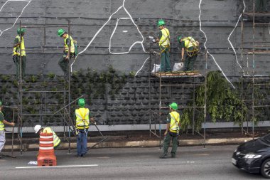 Sao Paulo, Sp, Brezilya, 08 Nisan 2017. İşçiler dikey Bahçe 23 de Maio Avenue, güneyde Sao Paulo yüklemiş olursunuz. Bitkiler Eduardo Kobra, bu yönetimi Başkan Joao Doria silindi, Sao Paulo Antiga grafit değiştirin. ,