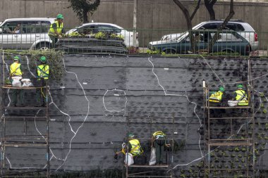Sao Paulo, Sp, Brezilya, 08 Nisan 2017. İşçiler dikey Bahçe 23 de Maio Avenue, güneyde Sao Paulo yüklemiş olursunuz. Bitkiler Eduardo Kobra, bu yönetimi Başkan Joao Doria silindi, Sao Paulo Antiga grafit değiştirin. ,