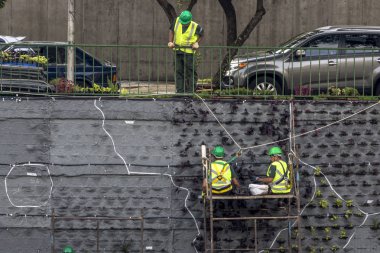 Sao Paulo, Sp, Brezilya, 08 Nisan 2017. İşçiler dikey Bahçe 23 de Maio Avenue, güneyde Sao Paulo yüklemiş olursunuz. Bitkiler Eduardo Kobra, bu yönetimi Başkan Joao Doria silindi, Sao Paulo Antiga grafit değiştirin. ,