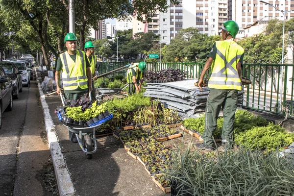 Сан Паулу Бразилия Апреля 2017 Года Рабочие Устанавливают Вертикальный Сад — стоковое фото