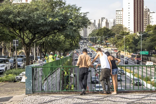 São Paulo Brasil Abril 2017 Trabalhadores Estão Instalando Jardim Vertical — Fotografia de Stock