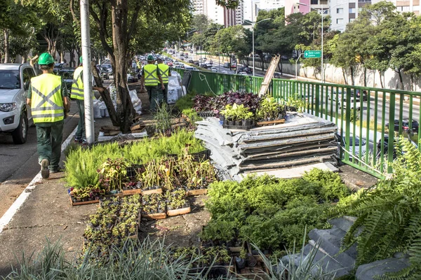 Sao Paulo Βραζιλία Απριλίου 2017 Εργαζόμενοι Εγκατάσταση Στον Κάθετο Κήπο — Φωτογραφία Αρχείου