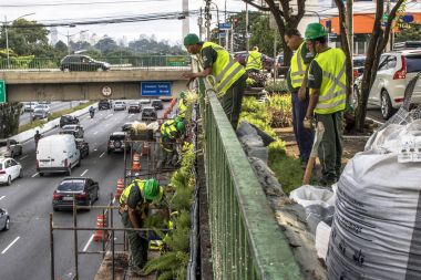 Sao Paulo, Sp, Brezilya, 08 Nisan 2017. İşçiler dikey Bahçe 23 de Maio Avenue, güneyde Sao Paulo yüklemiş olursunuz. Bitkiler Eduardo Kobra, bu yönetimi Başkan Joao Doria silindi, Sao Paulo Antiga grafit değiştirin. ,