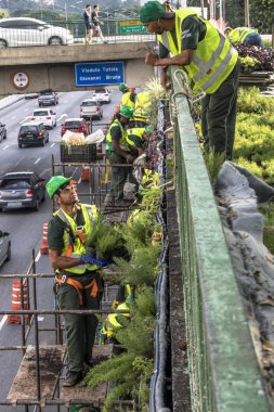 Sao Paulo, Sp, Brezilya, 08 Nisan 2017. İşçiler dikey Bahçe 23 de Maio Avenue, güneyde Sao Paulo yüklemiş olursunuz. Bitkiler Eduardo Kobra, bu yönetimi Başkan Joao Doria silindi, Sao Paulo Antiga grafit değiştirin. ,