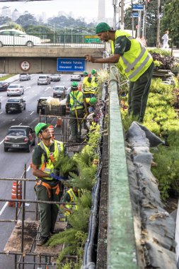 Sao Paulo, Sp, Brezilya, 08 Nisan 2017. İşçiler dikey Bahçe 23 de Maio Avenue, güneyde Sao Paulo yüklemiş olursunuz. Bitkiler Eduardo Kobra, bu yönetimi Başkan Joao Doria silindi, Sao Paulo Antiga grafit değiştirin. ,