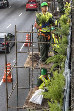 Sao Paulo, Sp, Brezilya, 08 Nisan 2017. İşçiler dikey Bahçe 23 de Maio Avenue, güneyde Sao Paulo yüklemiş olursunuz. Bitkiler Eduardo Kobra, bu yönetimi Başkan Joao Doria silindi, Sao Paulo Antiga grafit değiştirin. ,