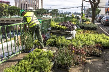 Sao Paulo, Sp, Brezilya, 08 Nisan 2017. İşçiler dikey Bahçe 23 de Maio Avenue, güneyde Sao Paulo yüklemiş olursunuz. Bitkiler Eduardo Kobra, bu yönetimi Başkan Joao Doria silindi, Sao Paulo Antiga grafit değiştirin. ,