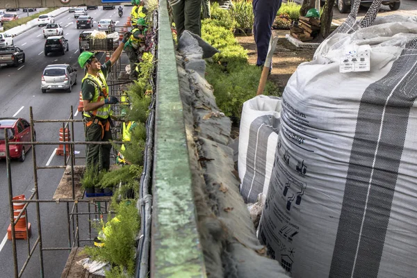 Sao Paulo Brasil Abril 2017 Los Trabajadores Están Instalando Jardín —  Fotos de Stock
