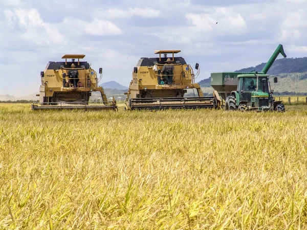 Roraima Brazilië Augustus 2004 Combineert Harvester Oogsten Rijst Een Heldere — Stockfoto