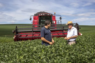 Parana, Brezilya, 07 Ocak 2015. Çiftçi Parana durumda, Brezilya güneyinde bir yeşil soya ekimi değerlendirmeleri