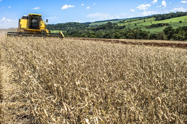 Nuporanga Brasil Fevereiro 2013 Colheita Mecanizada Soja Uma Fazenda Município — Fotografia de Stock