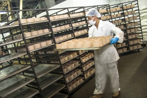 San Paolo Dicembre 2011 Lavoratori Lavorano Nella Linea Produzione Industria — Foto Stock