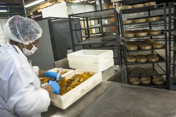 Sao Paulo, 08 Aralık 2011. Ekmek, kek ve Poğaçaların Sao Paulo bir Sanayi üretim hattında işçilerin işe