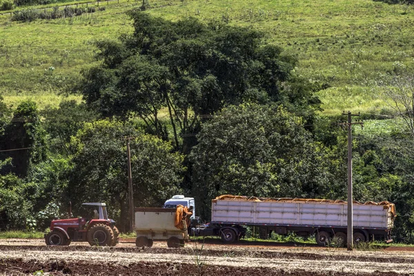 Nuporanga Brezilya Şubat 2013 Makine Soya Tohumları Bir Kamyona Hasat — Stok fotoğraf
