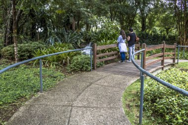 Curitiba, Brezilya, 30 Aralık 2017. Bahçe duyumları, dokunma, koku ve işitme tesisi, Botanik Bahçesi, Curitiba içinde Parana devlet aracılığıyla ziyaretçi uyarmak için duyusal bir tur turist