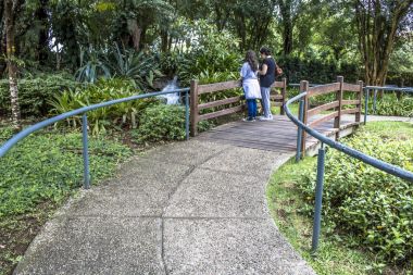 Curitiba, Brezilya, 30 Aralık 2017. Bahçe duyumları, dokunma, koku ve işitme tesisi, Botanik Bahçesi, Curitiba içinde Parana devlet aracılığıyla ziyaretçi uyarmak için duyusal bir tur turist