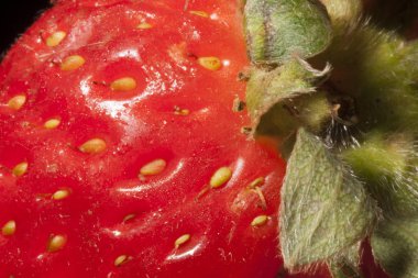 Tahta masadaki çilekler