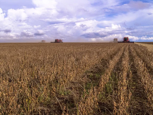 Mato Grosso Brazílie Březen 2008 Masové Sóji Sklizeň Farmě Mato — Stock fotografie