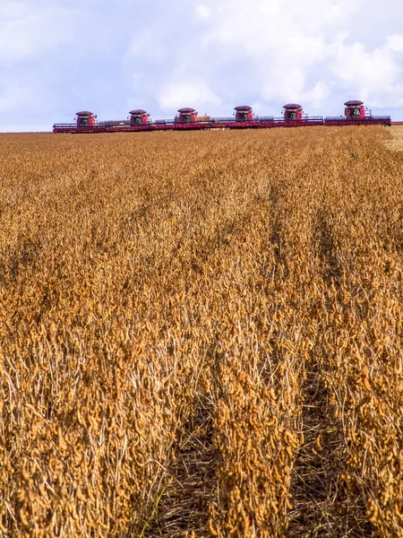 Meto Grosso Brazílie Březen 2008 Masové Sóji Sklizeň Farmě Mato — Stock fotografie