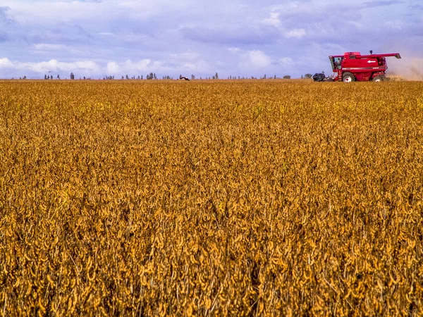 Meto Grosso Brazílie Březen 2008 Masové Sóji Sklizeň Farmě Mato — Stock fotografie