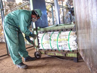 Piracicaba, Sao Paulo, Brezilya, 06 Temmuz 2007. İş plastik boş pestisit ambalaj kağıt kutu geri dönüşüm, Brezilya için alma birimi nesnelerindeki ayrılığı