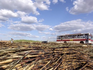 Piracicaba, Sao Paulo, Brezilya, 05 Eylül 2007: İşçilerin manuel şeker kamışı, Sao Paulo devlet toplayabilir sonra onları geri şehre götürmek için otobüs atılmak