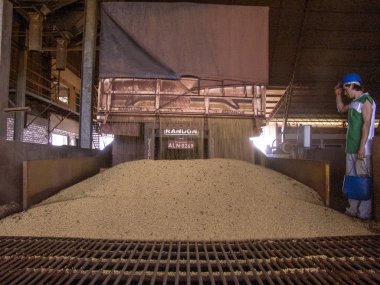 Mato Grosso, Brezilya, 01 Mart 2008. Kamyon bir silo soya çöplüğüne Mato Grosso durumda yapar.