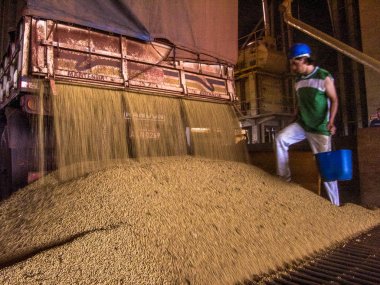 Mato Grosso, Brezilya, 01 Mart 2008. Kamyon bir silo soya çöplüğüne Mato Grosso durumda yapar.