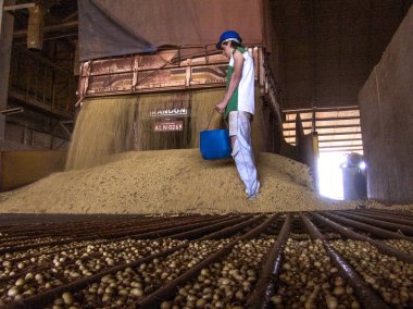 Mato Grosso, Brezilya, 01 Mart 2008. Kamyon bir silo soya çöplüğüne Mato Grosso durumda yapar.
