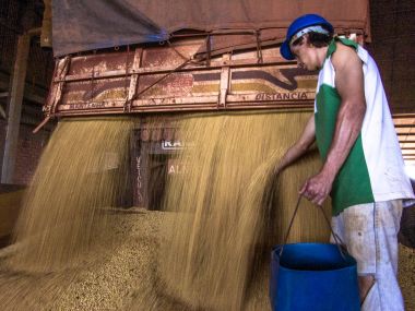 Mato Grosso, Brezilya, 01 Mart 2008. Kamyon bir silo soya çöplüğüne Mato Grosso durumda yapar.
