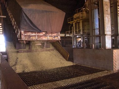 Mato Grosso, Brezilya, 01 Mart 2008. Kamyon bir silo soya çöplüğüne Mato Grosso durumda yapar.