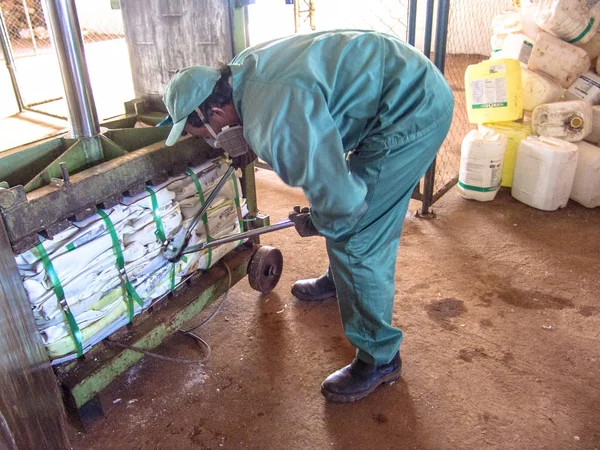 Piracicaba, Sao Paulo, Brezilya, 06 Temmuz 2007. İş plastik boş pestisit ambalaj kağıt kutu geri dönüşüm, Brezilya için alma birimi nesnelerindeki ayrılığı